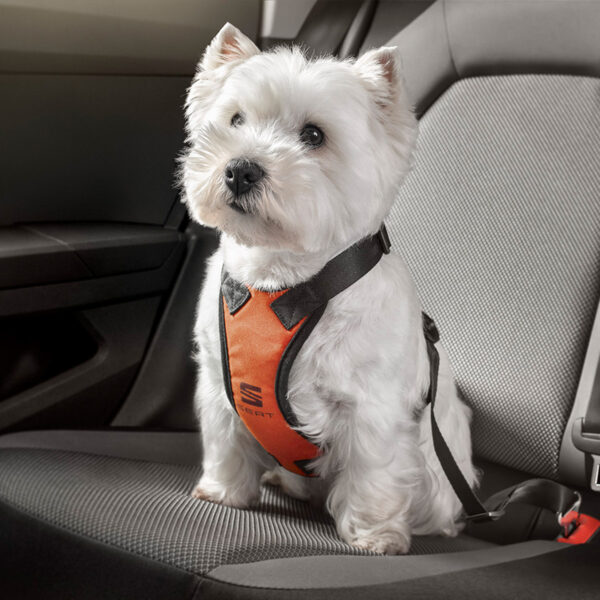 SEAT Safety Dog Harness - Medium 000084310D